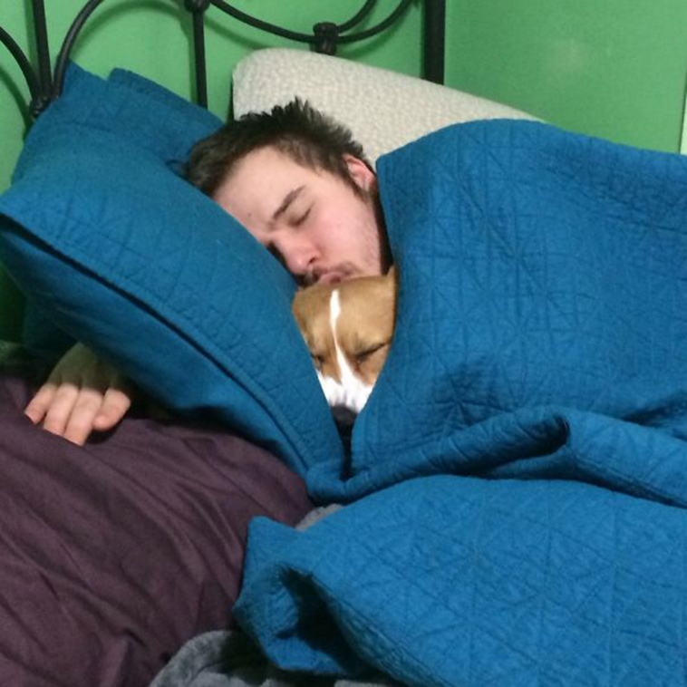 pets stealing partners