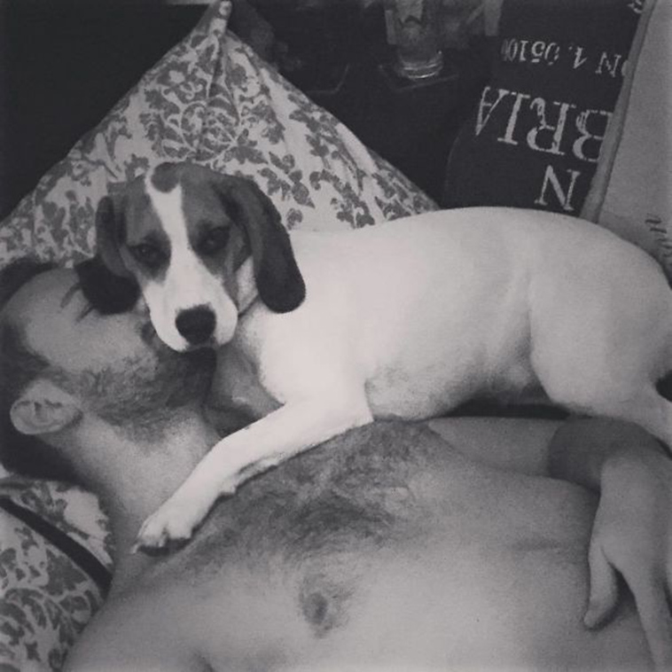 pets stealing partners