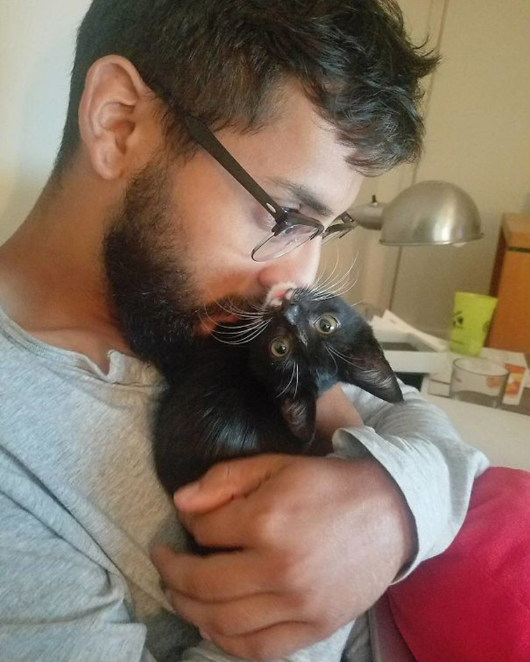 pets stealing partners
