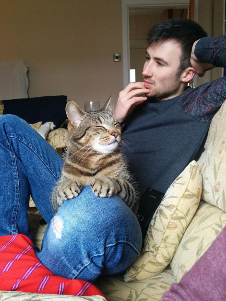 pets stealing partners