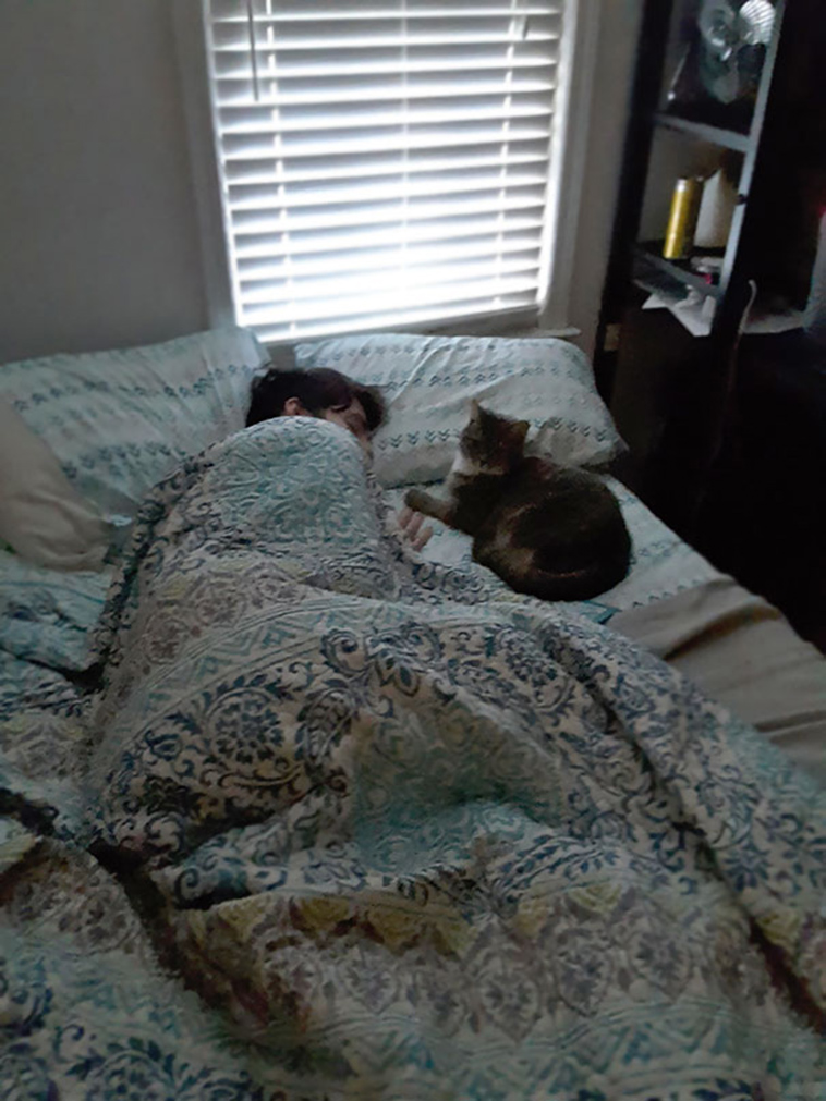 pets stealing partners