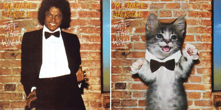 Kitten Covers