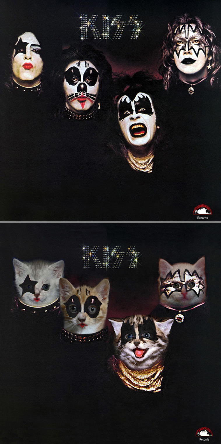 Kitten Covers