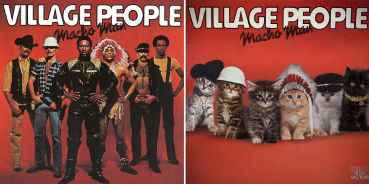 Kitten Covers