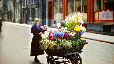 vintage color photos old autochrome