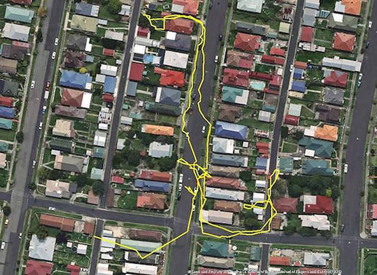 GPS trackers cats