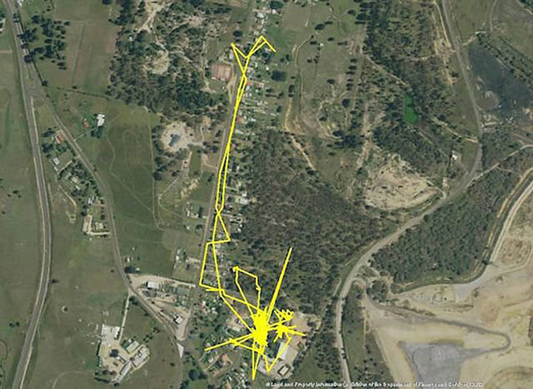 GPS trackers cats