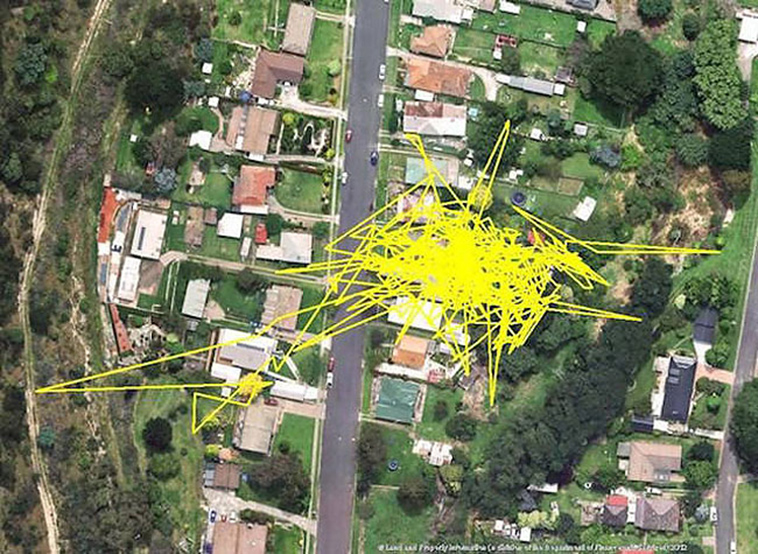 GPS trackers cats