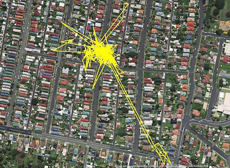 GPS trackers cats