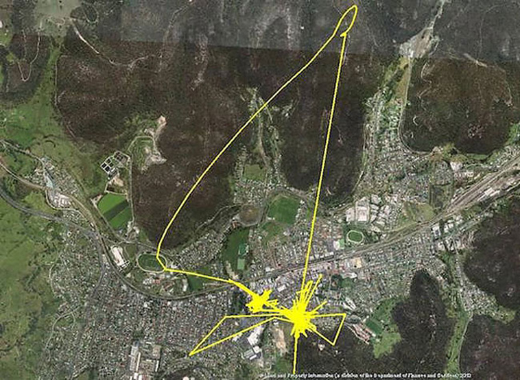 GPS trackers cats