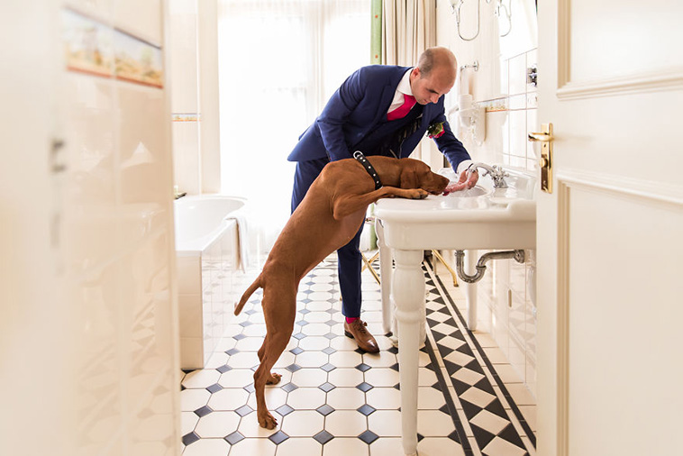 wedding-photos-with-animals