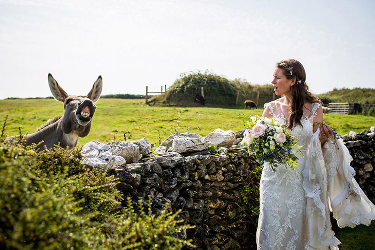 wedding-photos-with-animals