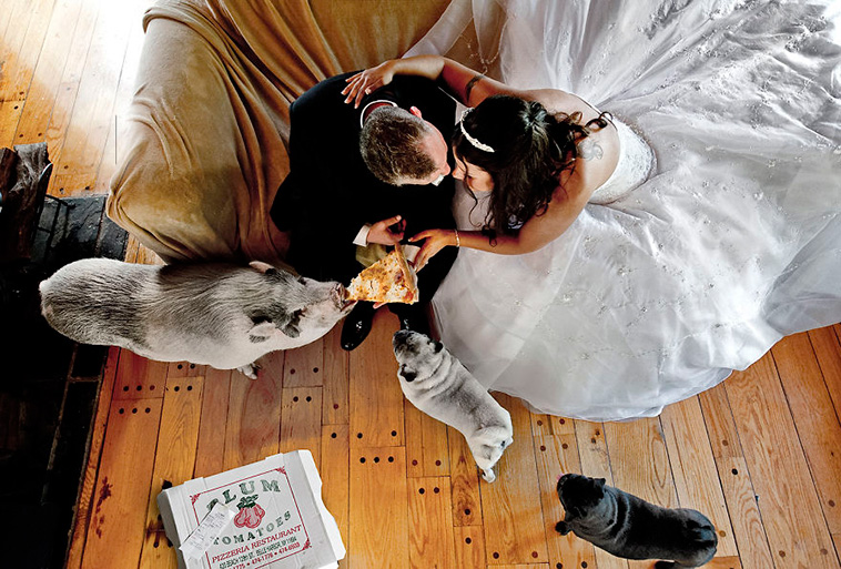 wedding-photos-with-animals