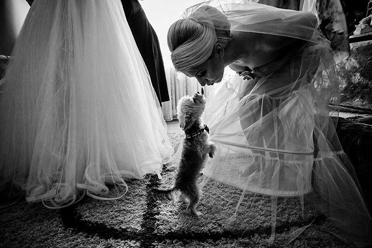 wedding-photos-with-animals