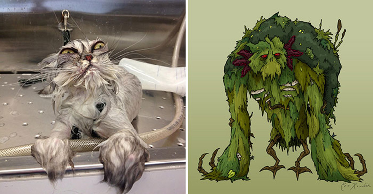 cats incredible lookalikes