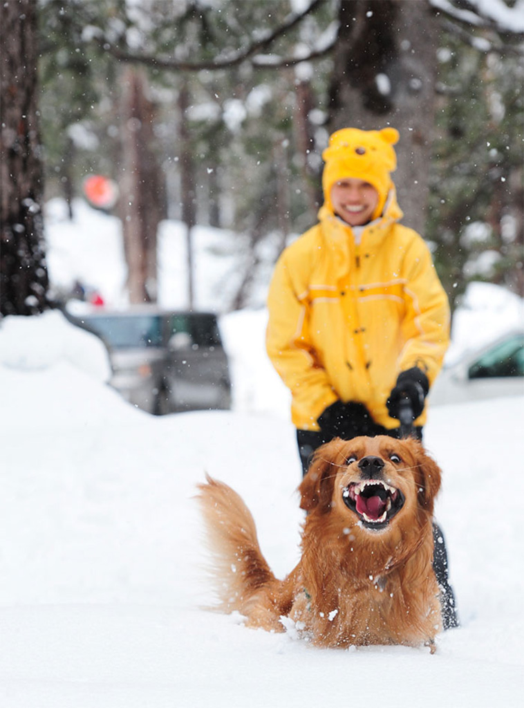 Animals Experienced Snow For The First Time