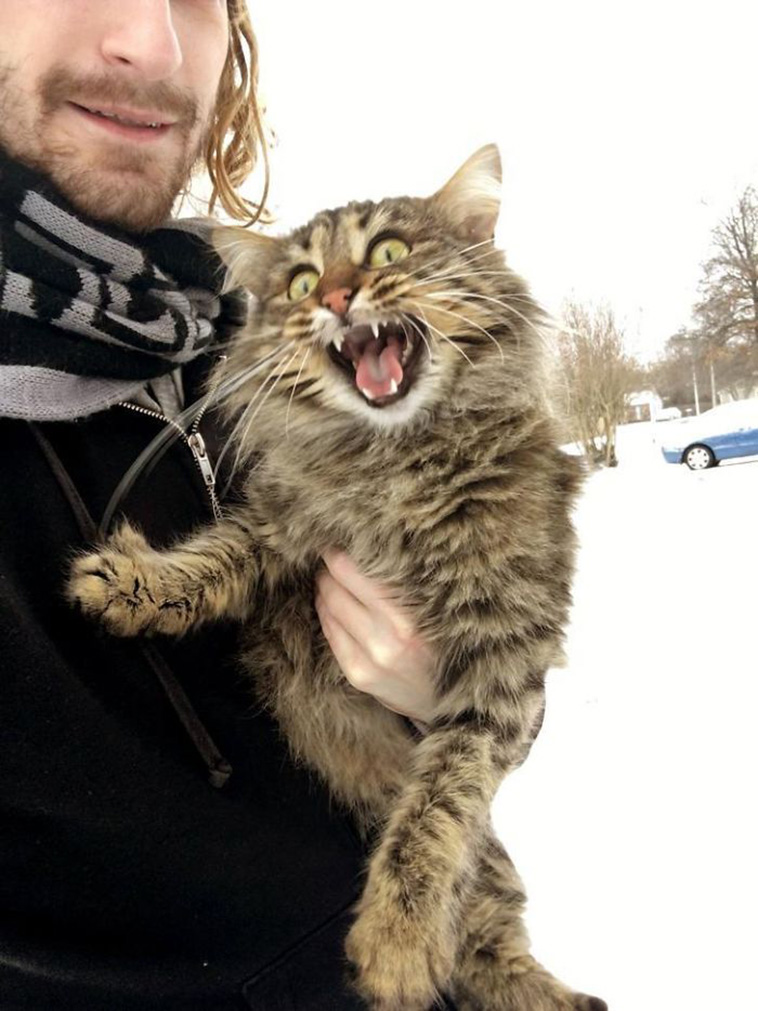 Animals Experienced Snow For The First Time