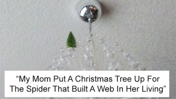 funny moms being moms