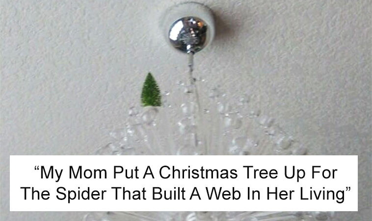 funny moms being moms