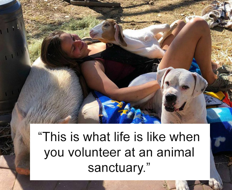 happiness has been captured