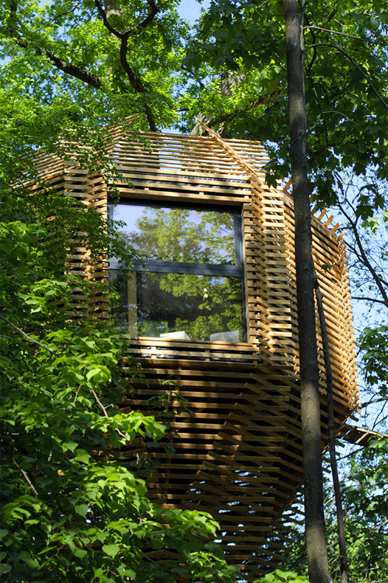 tiny tree house