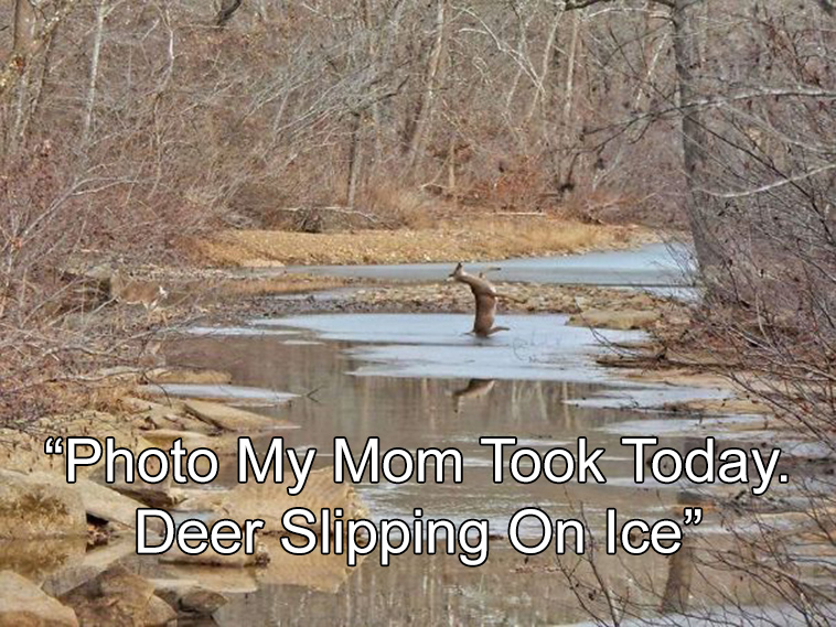 unbelievable pics or it didnt happen