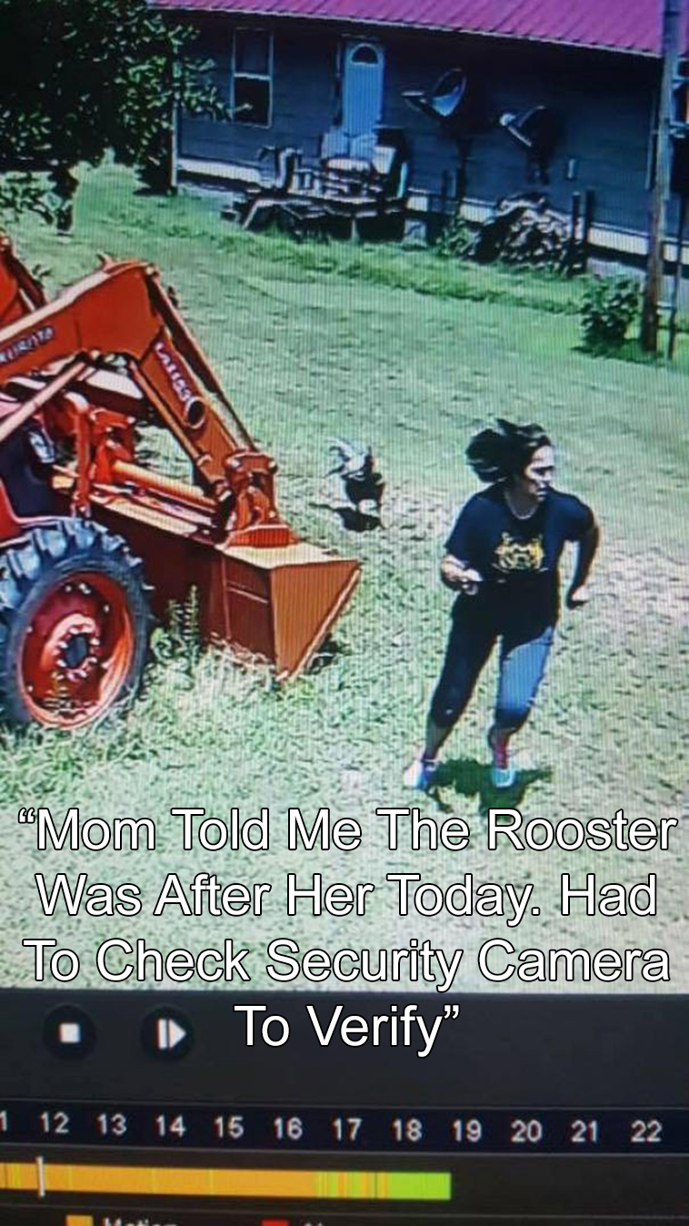 unbelievable pics or it didnt happen