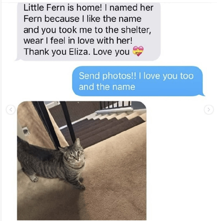 Grandma Adopts a Cat