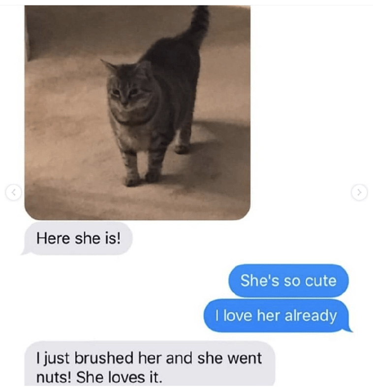 Grandma Adopts a Cat