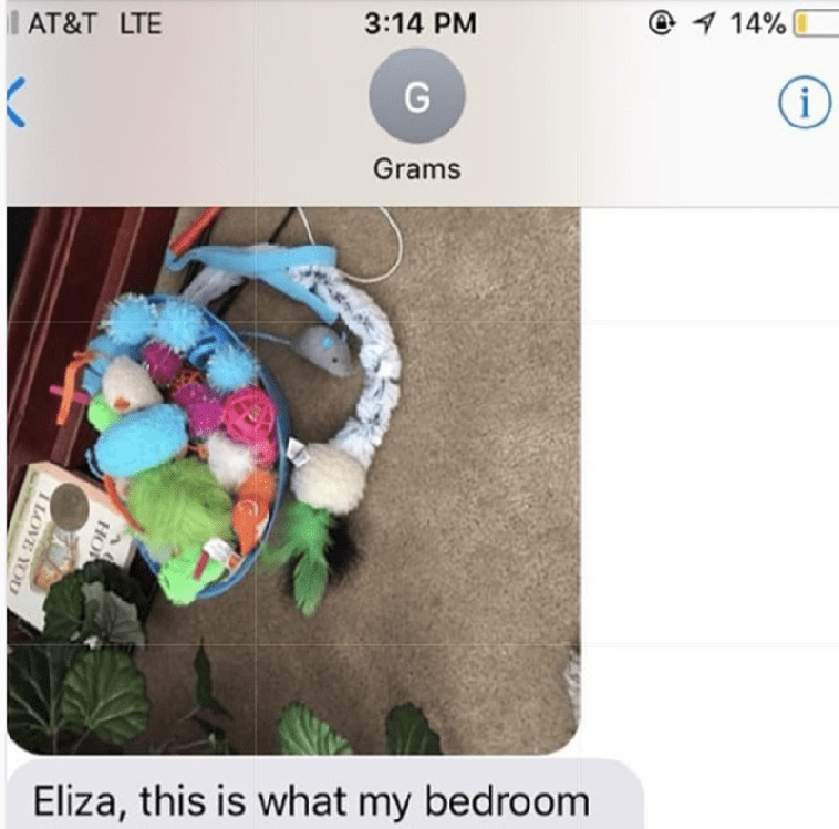 Grandma Adopts a Cat