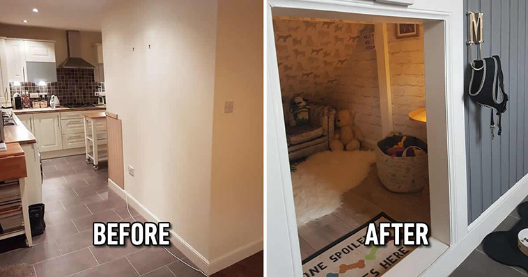 Dog Owners Build A Luxury Dog Room After Finding Out They ... home wiring system 