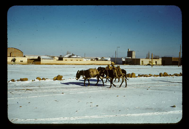Everyday life of Mexico in 1950s