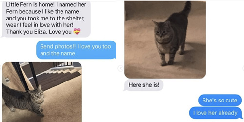 Grandma Adopts a Cat