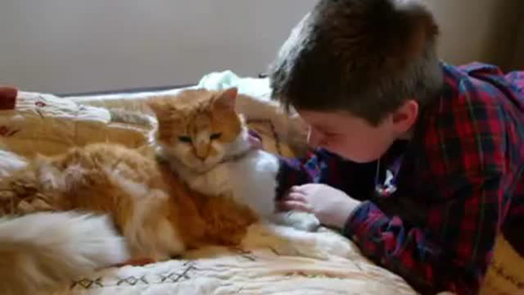 Reunited With His Missing Cat