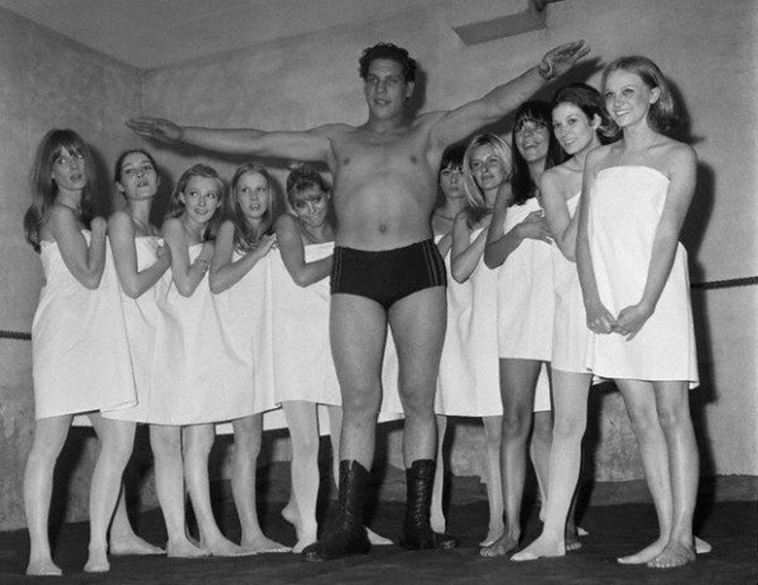 andre the giant