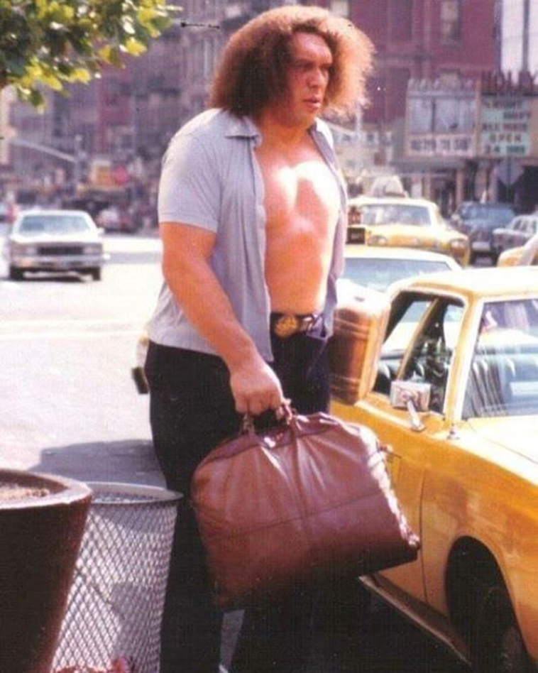 andre the giant