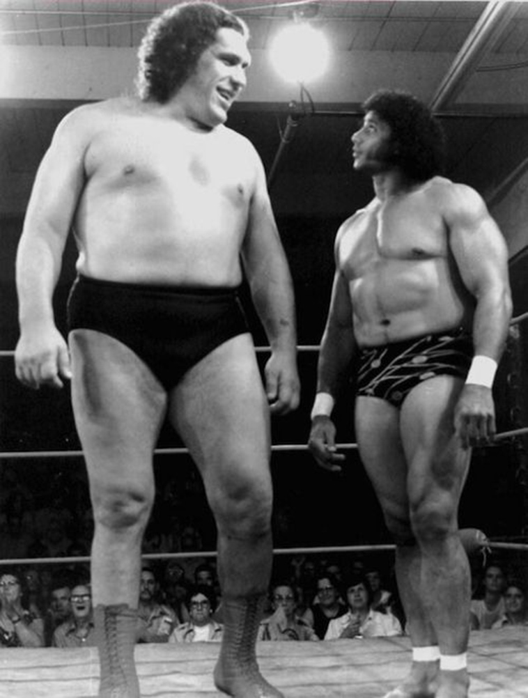 World Wrestling Federation