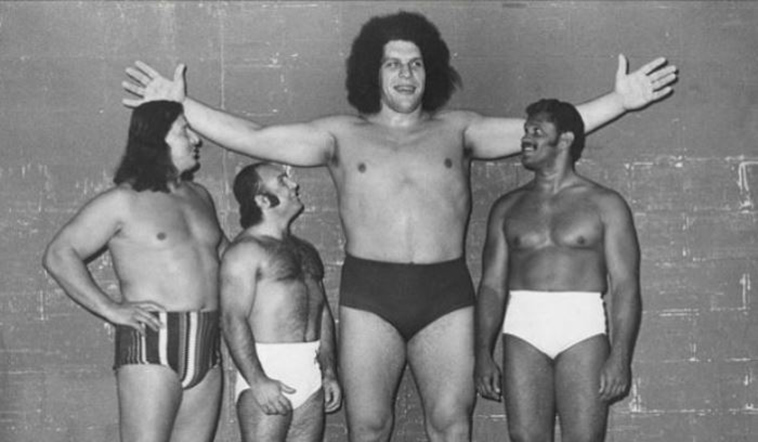 andre the giant