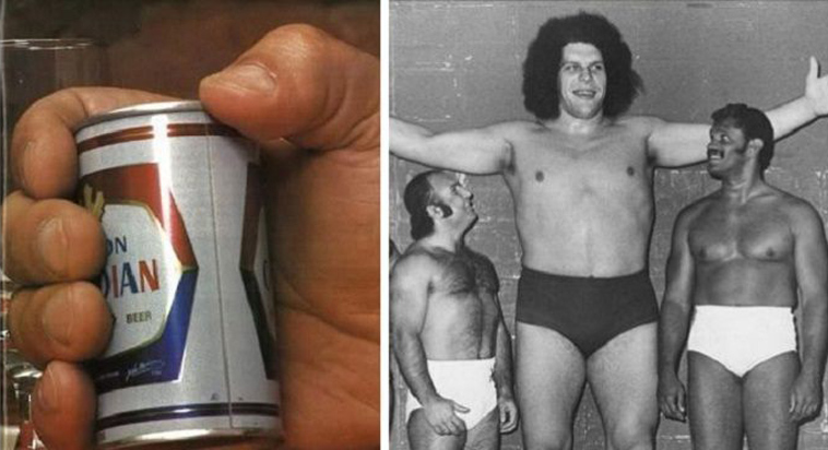 andre the giant