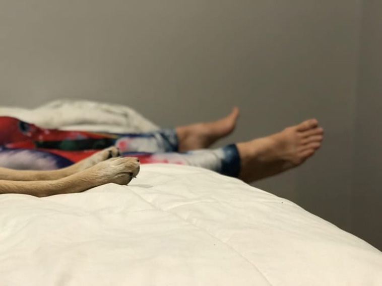 DOGS WHO KNOW HOW TO BE BETTER THAN BOYFRIENDS
