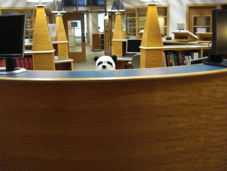 funny-librarians-jokes