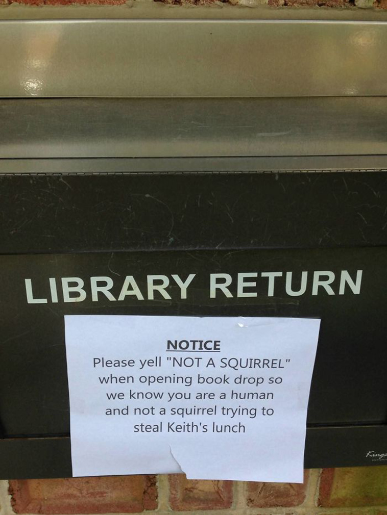 funny-librarians-jokes