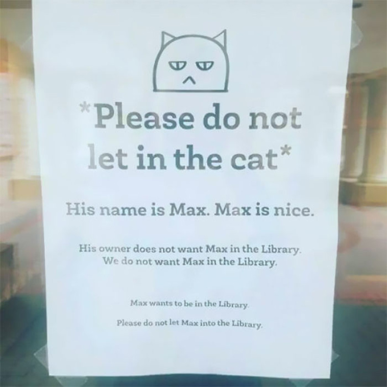 funny-librarians-jokes