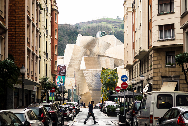 guggenheim museum by gauvin lapetoule
