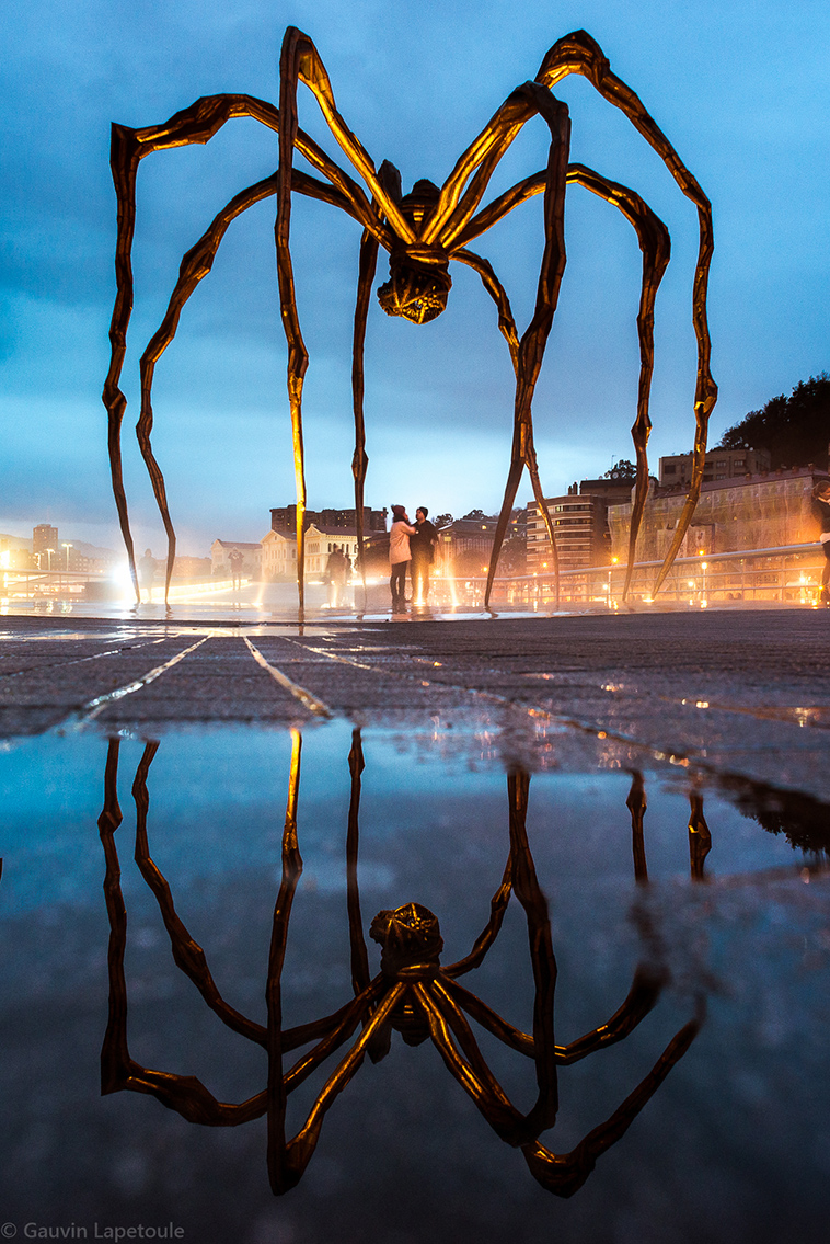 guggenheim museum by gauvin lapetoule