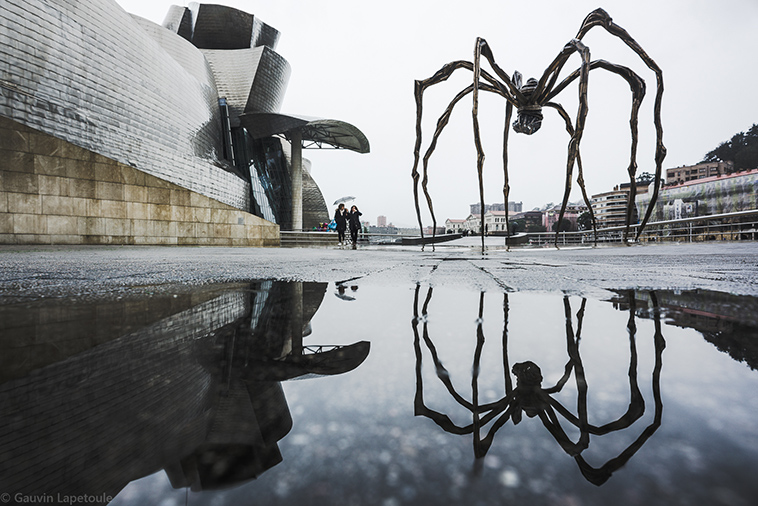 guggenheim museum by gauvin lapetoule