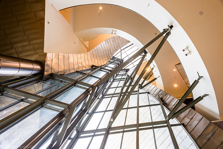 guggenheim museum by gauvin lapetoule