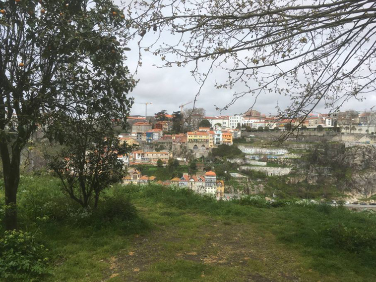 Man-discovers-secret-cat-village