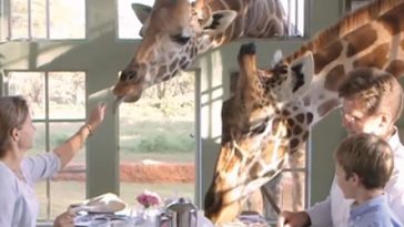 Unusually Lovely Restaurants In The World