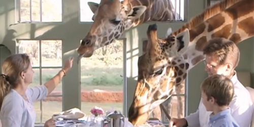 Unusually Lovely Restaurants In The World